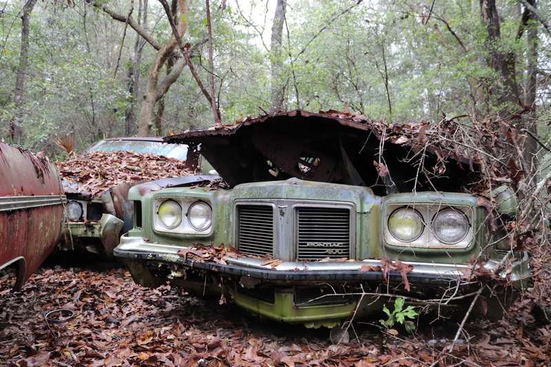 Illustration for article titled GHOST CARS ROTTING IN THE MISSISSIPPI SWAMP